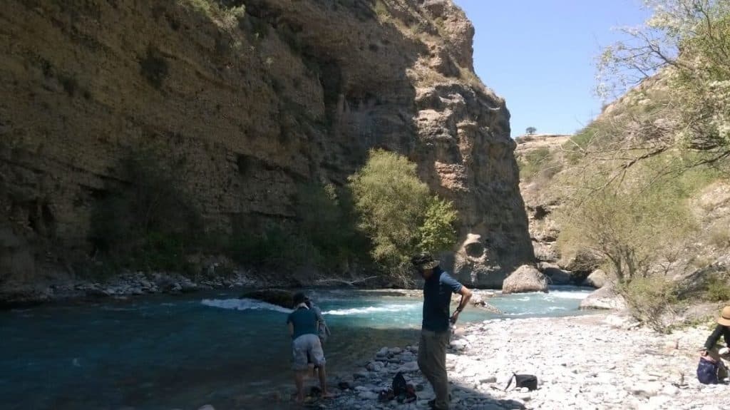 ТУРИСТЫ ИЗ ЯПОНИИ